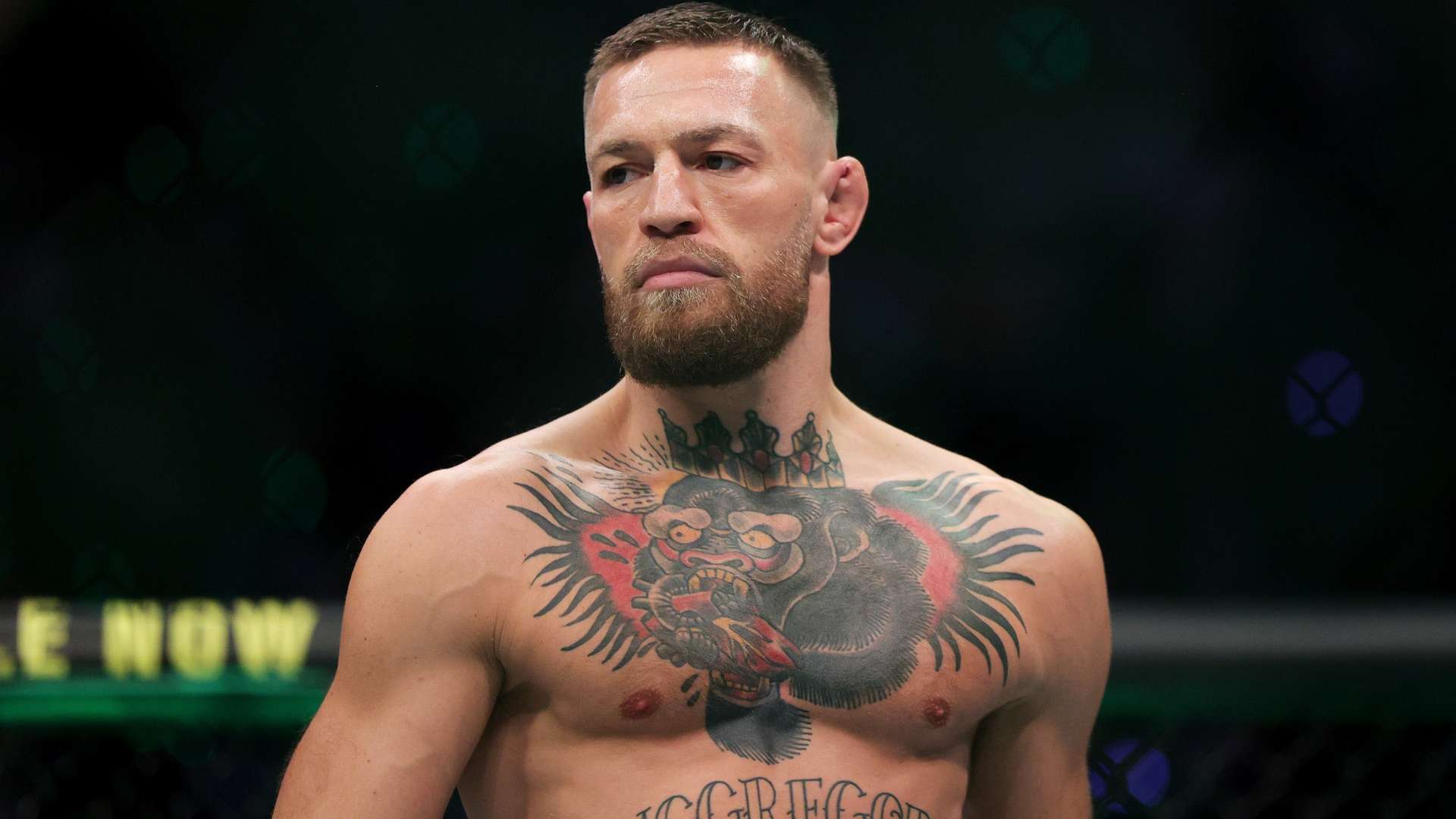 不同年龄段 不同年龄段