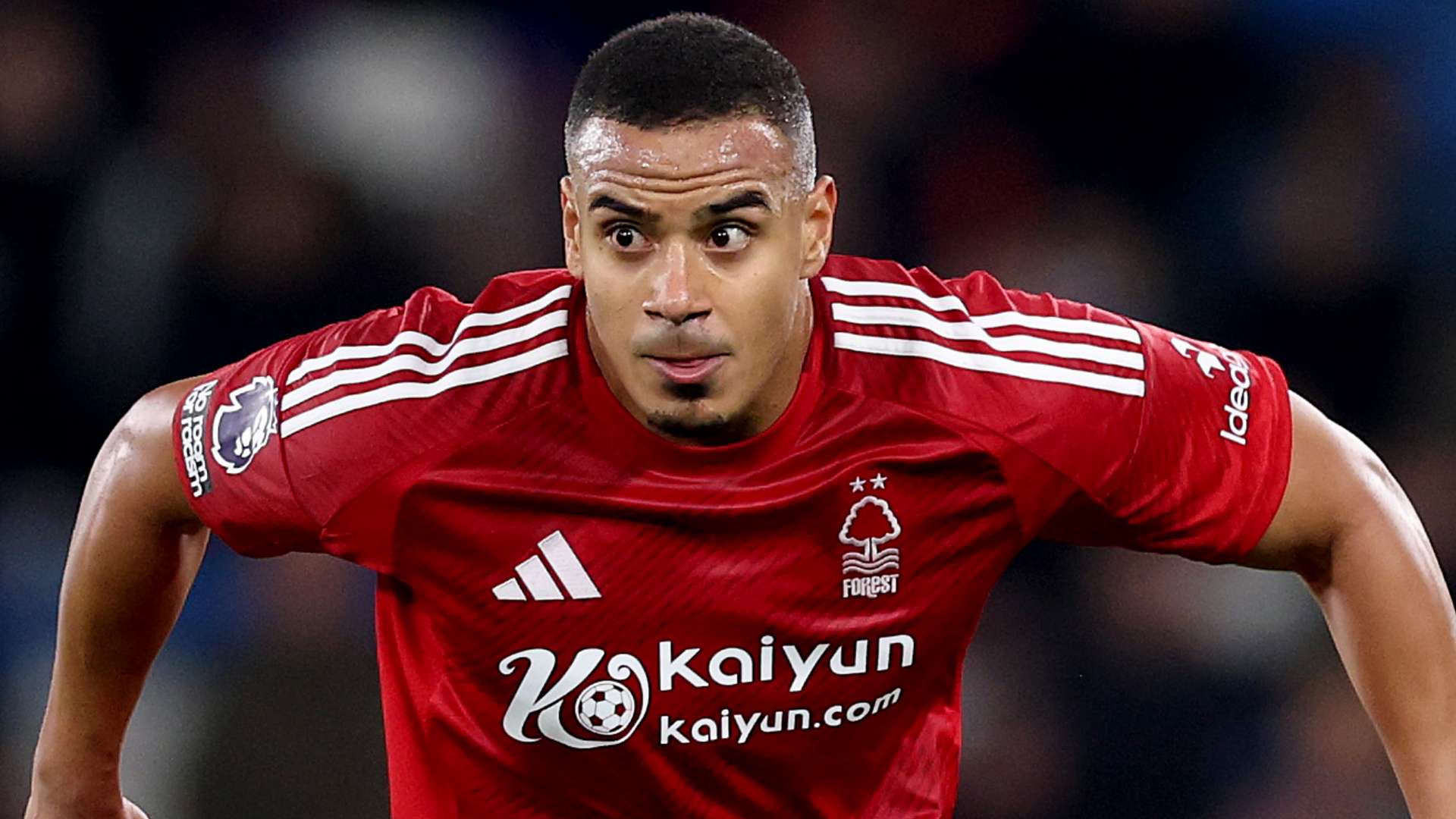 凯恩的这一 凯恩的这一